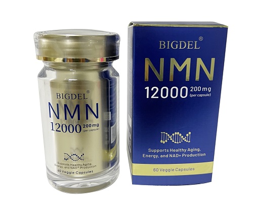 BIGDEL NMN12000̴ԴͷòƷ